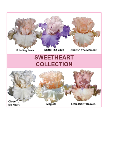 2025 Sweetheart Collection